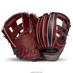 Baseball Gloves 1010