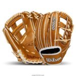 Baseball Gloves 1017