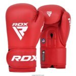 Boxing Gloves 1002