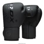 Boxing Gloves 1005