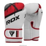 Boxing Gloves 1007