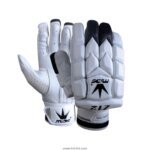 Cricket Gloves 1010