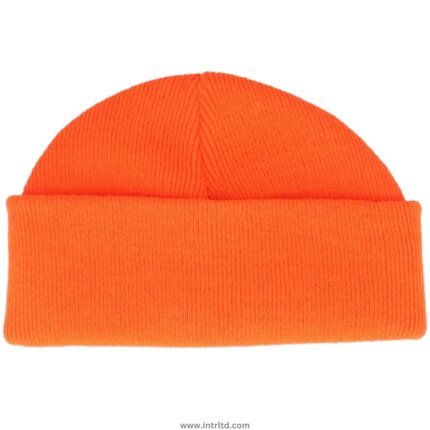 Beanie 1019