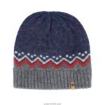 Beanie 1003